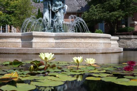 Reflections water gardens - At Reflections Water Gardens, we excel in designing and constructing beautiful water features, including Koi ponds, natural pools, and waterfalls. Prior to construction, our …